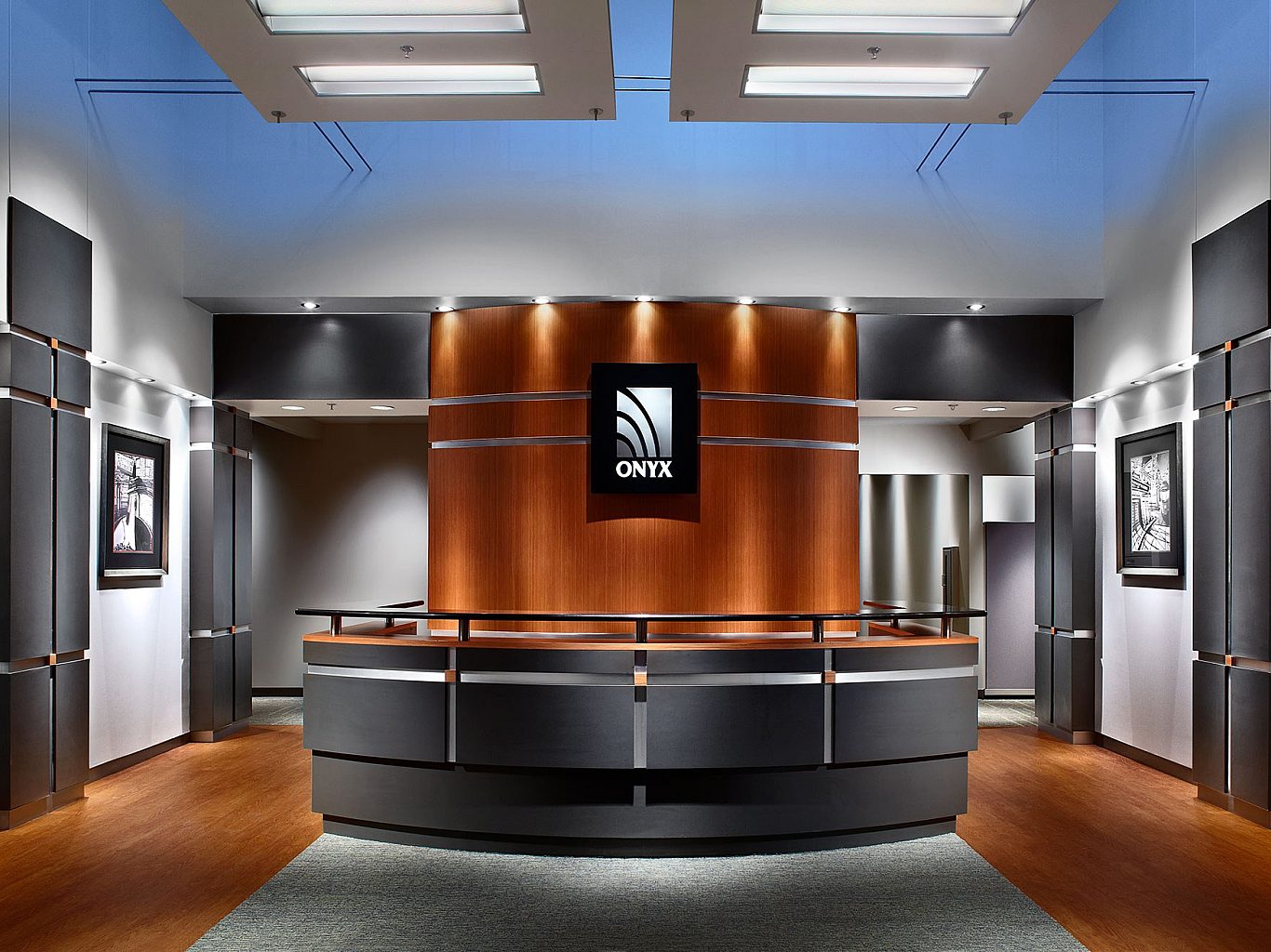 Onxy medical corp linkous construction 2